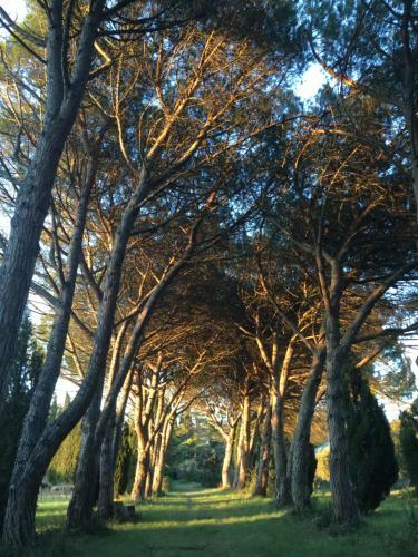Domaine de Casteuse,lourmarin Cottage