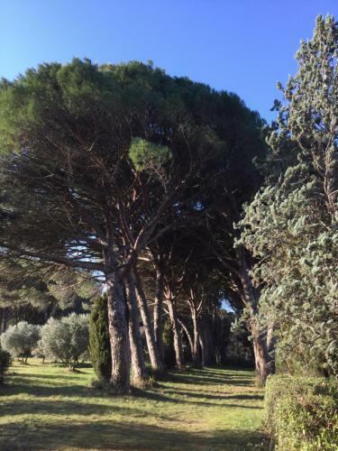 Domaine de Casteuse,lourmarin Cottage