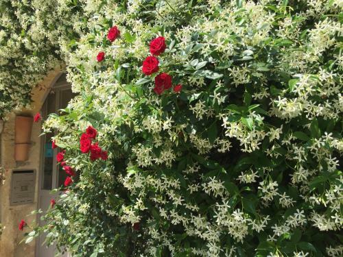 Hostal La Cordi�re