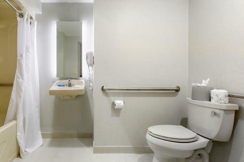 Hotel Holiday Inn Express Mount Arlington