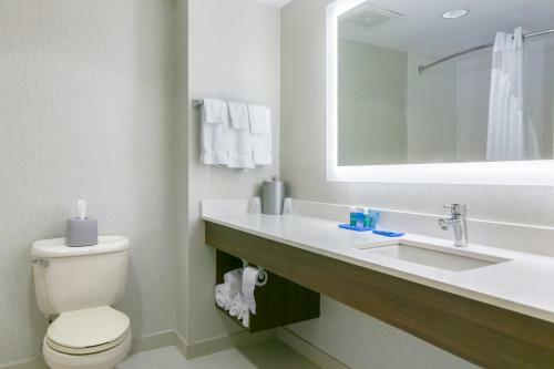 Hotel Holiday Inn Express Mount Arlington