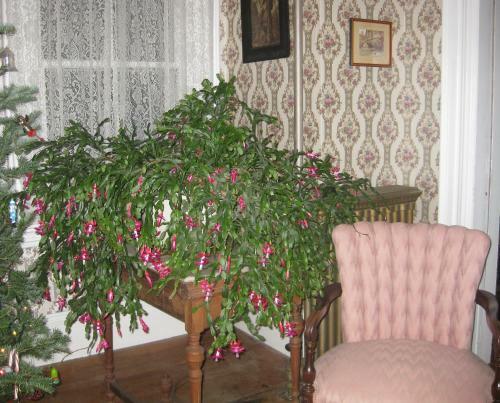The Bridges Inn At Whitcomb House B&B