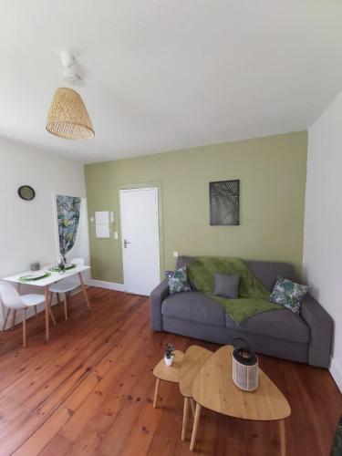 Apartamento Le Jungle--hyper Centre--tout Confort--wifi