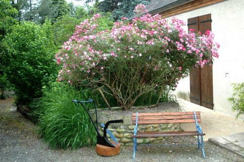 Bed & Breakfast La Demeure Aux Pins