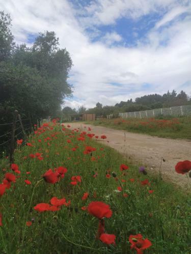 Hostal Ecoutez Les Oiseaux