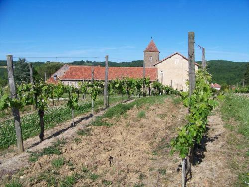 G�te, Jacuzzi & Vin Au Grenier de Madiran