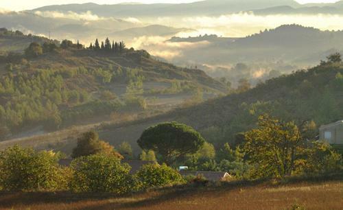 G�te Vigneron Du Domaine D'alon