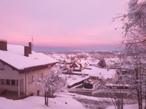 Apartamento G�te Le P'tit Chasseral