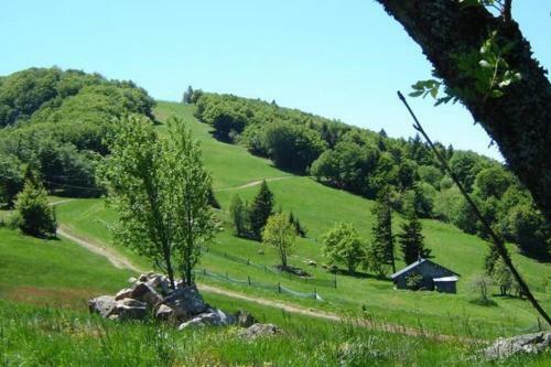 Le Domaine de La Saulnaire