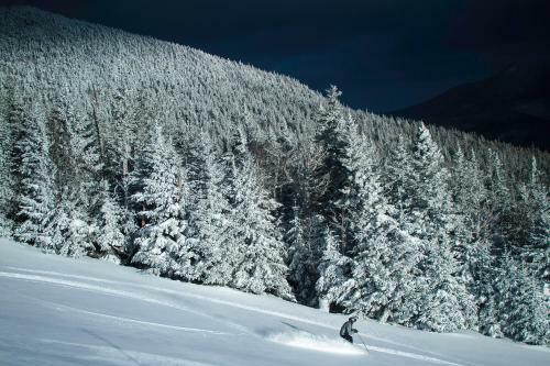 Hotel Black Bear Lodge