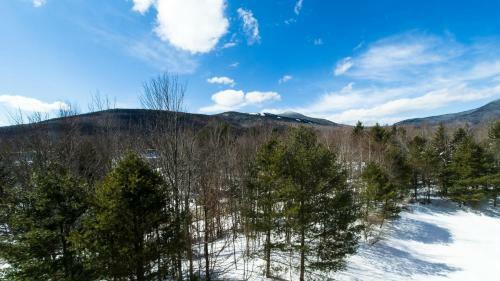 Hotel Black Bear Lodge