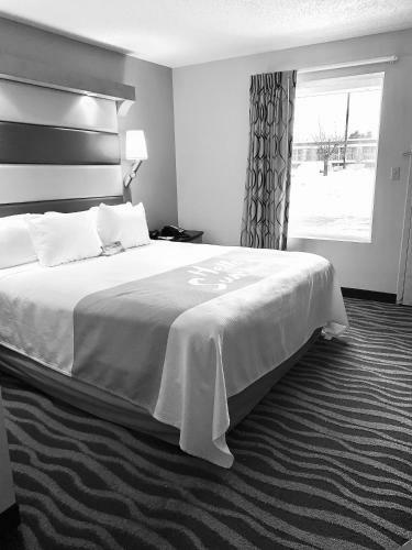 Hotel Days Inn - Albany