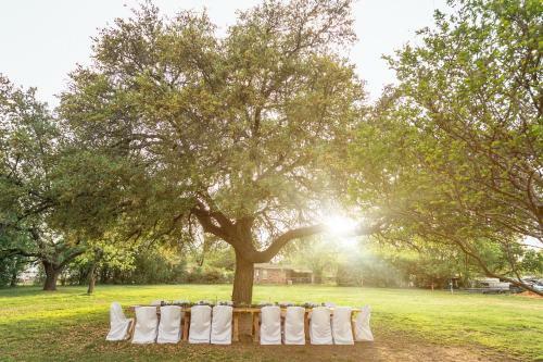 Blue Heron Bed And Breakfast On Lake Granbury