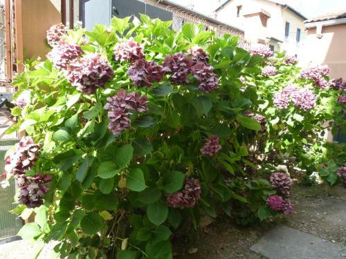 Apartamento Appartement T1 M�tro Mermoz