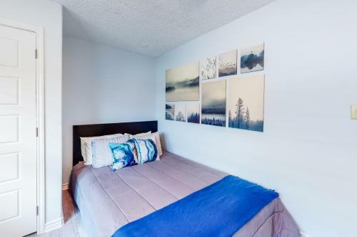 Bluebonnet Cove