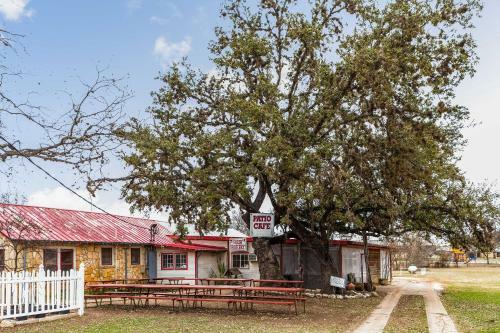 Restored Hill Country Cottage With Updated Yard!