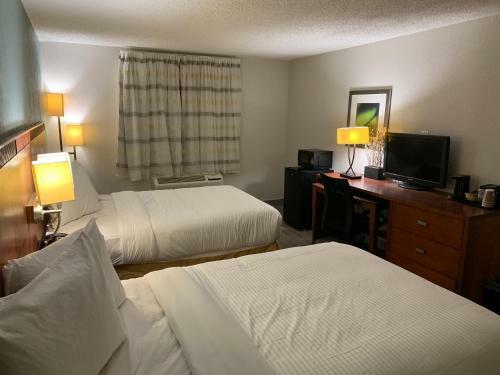 The Hotel Orange