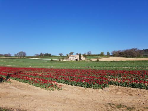 Grange Vout�e Avec Jardin