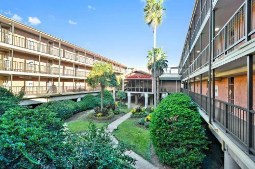 Apartamento Victorian 3228-no Crabby Attitudes
