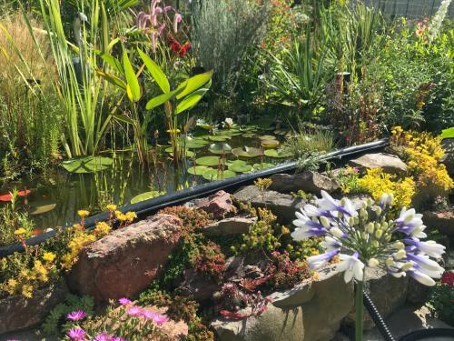 Le Jardin D'olivier