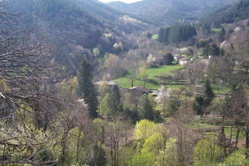 Domaine De Salomony