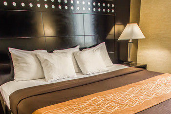 Hotel Rodeway Inn Bronx Zoo