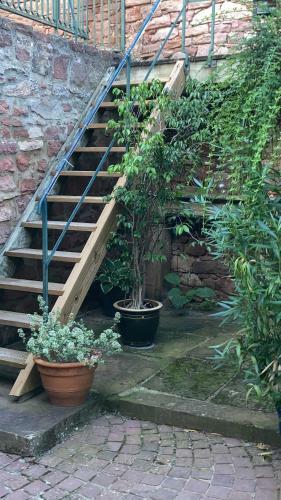 Apartamento Le Grenier