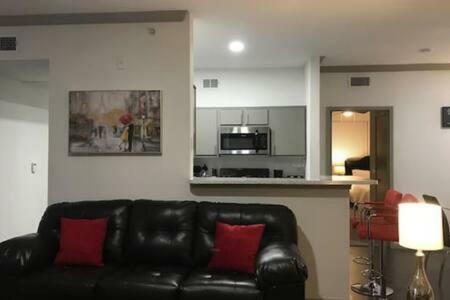 Lavish Apartment Near Houston Medical Centre
