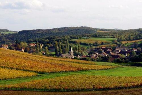 Bed & Breakfast La Chambre Des Buissonnats