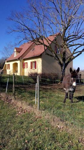 Apartamento Nature Et Proximit�