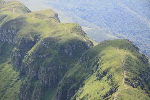 Cantal'envie
