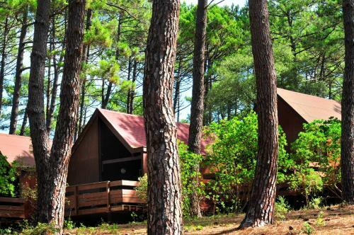 Hotel Les Bruy�res