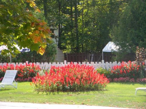 Motel Maple Leaf Inn Lake Placid