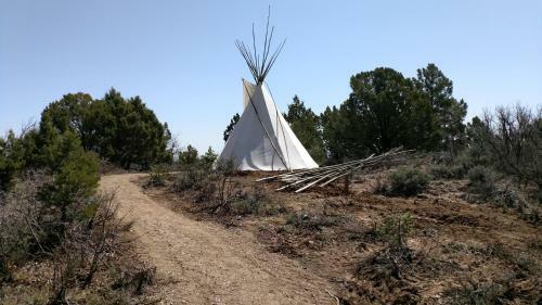 Tipi