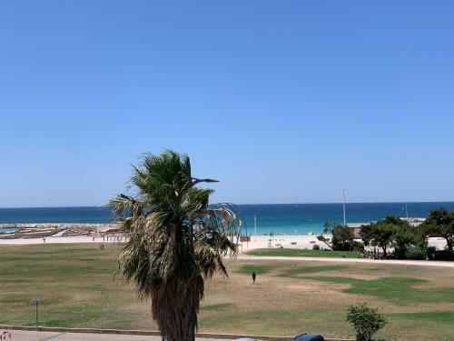 Apartamento Prado Plage