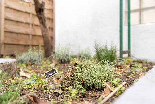 Apartamento Studio Design Marseille Centre Terrasse By Maisonmars