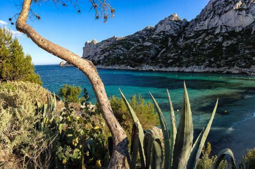 Apartamento Appartement Calanques de Marseille