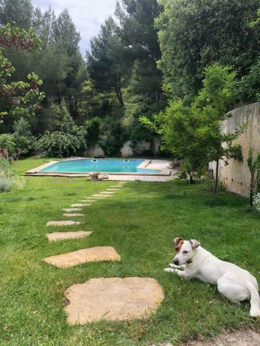 Apartamento L?appartement - Jardin Secret