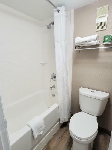 Hotel Flex Studios