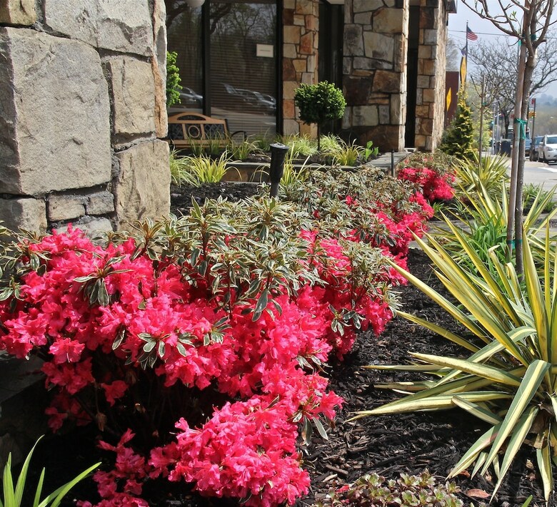 Hotel Best Western Bayside Inn
