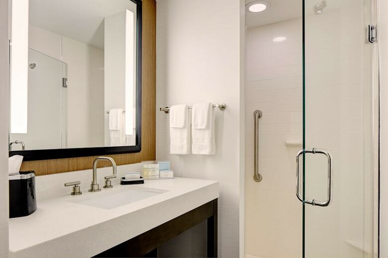 Hotel Hampton Inn Brooklyn Downtown