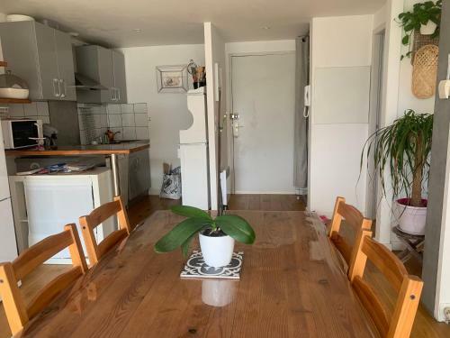 Apartamento Bordeaux Saint Augustin 65m2 Duplex