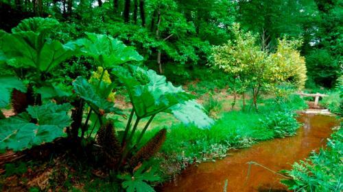 Apartamento Domaine Moulin Blanc : G�te Nomino�