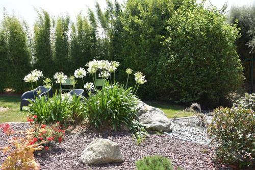 Bed & Breakfast Chambres de Kertanguy