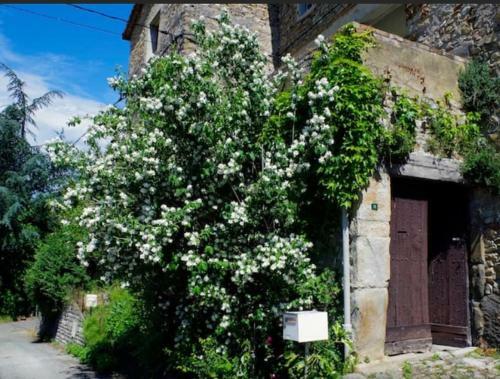 Hostal L?insolite