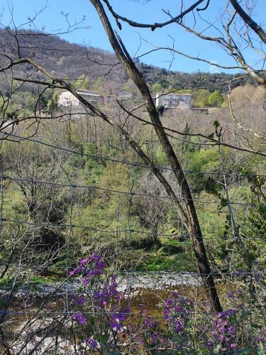 Apartamento Gites Boull�