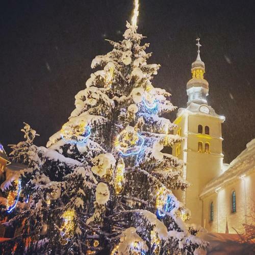 Hotel H�tel Les Cimes