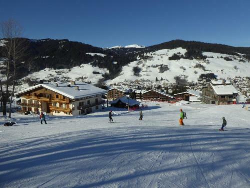 Apartamento Chalet Monte-pente
