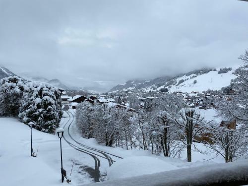 Apartamento Chalet " Jeane " Proche Centre