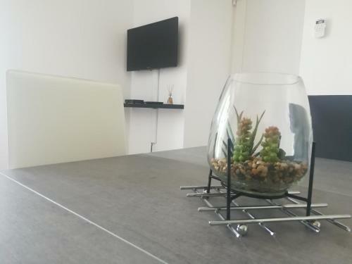Apartamento G�te de Trabuc, C�vennes